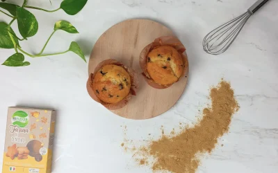 Ginger Muffins