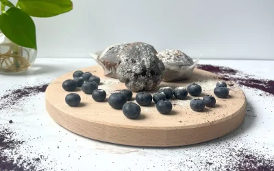 Bilberry Muffins